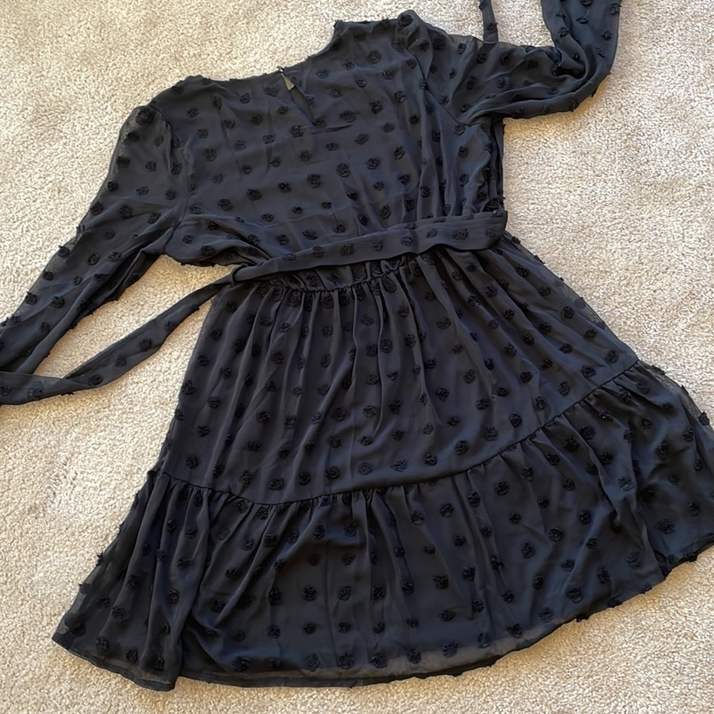 LARGE NWT! Long Sleeves Round Neck  Swiss Dot High Waist Chiffon Casual … - Picture 9 of 13